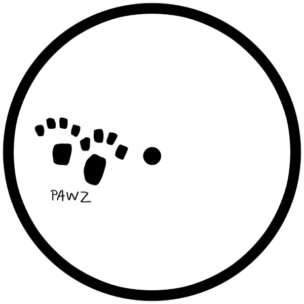 Cover art for On Yer Feet (Extended Mix) — PAWSA